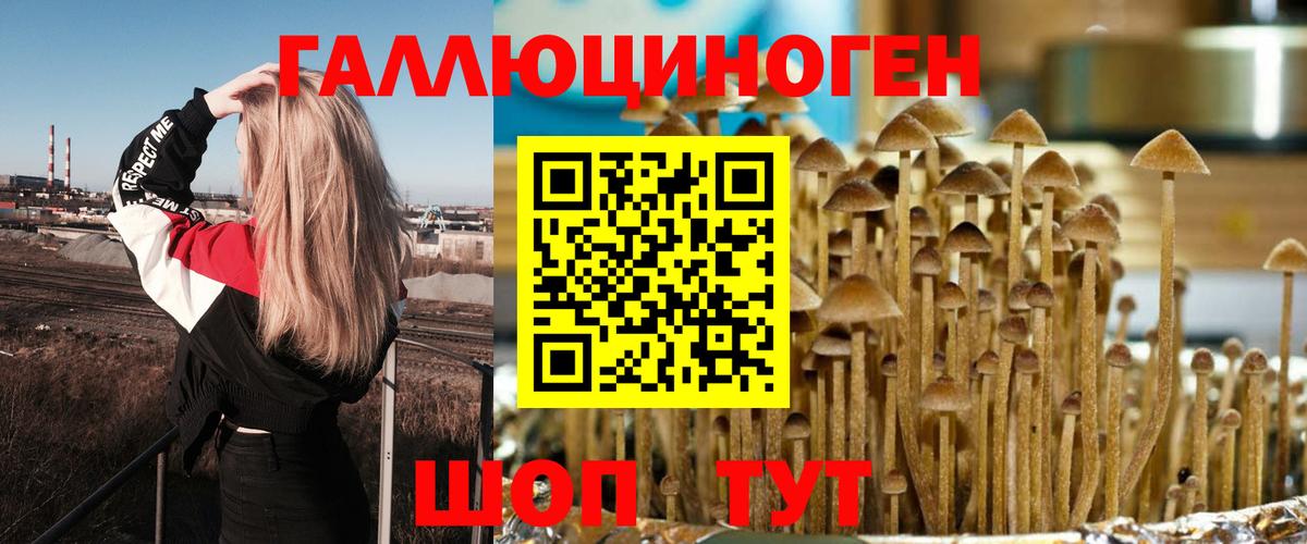 Галлюциногенные грибы Psilocybine cubensis  Вход с VPN  Обь 